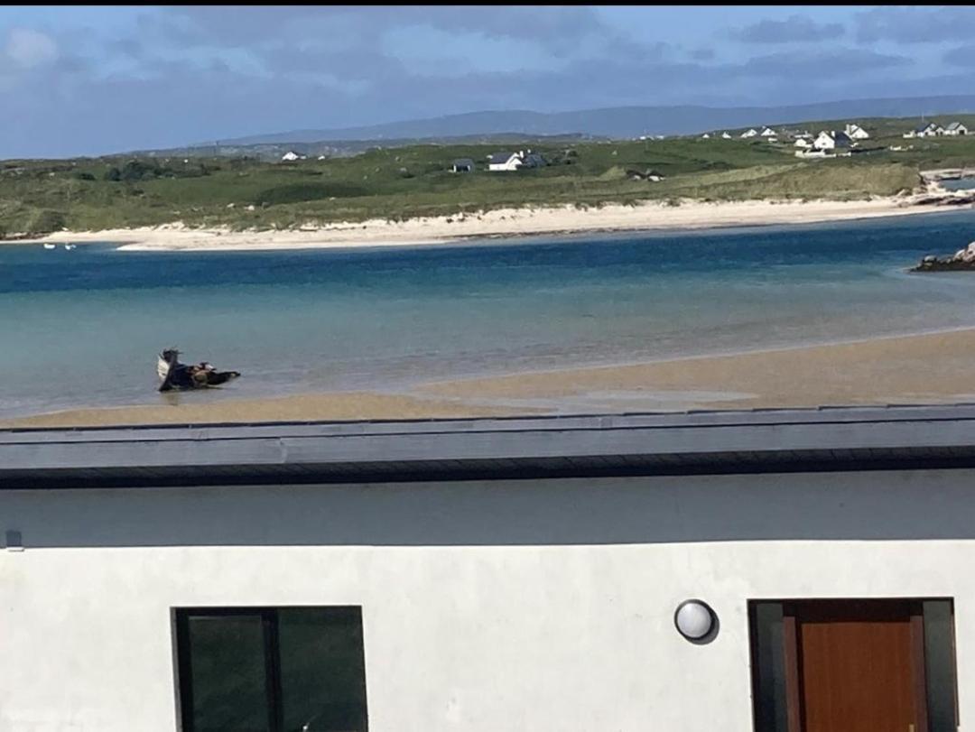 Ostan Gweedore Deluxe Apartments バンベッグ エクステリア 写真